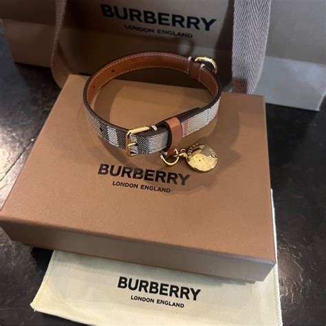 burberry for dogs|authentic burberry dog collar.